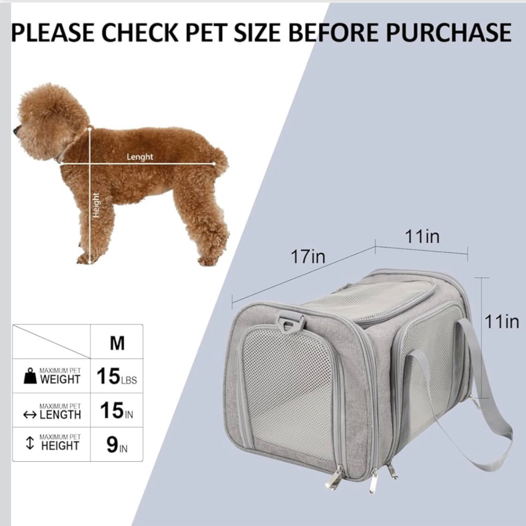 Looking up airline requirements meant paying careful attention to carrier size.