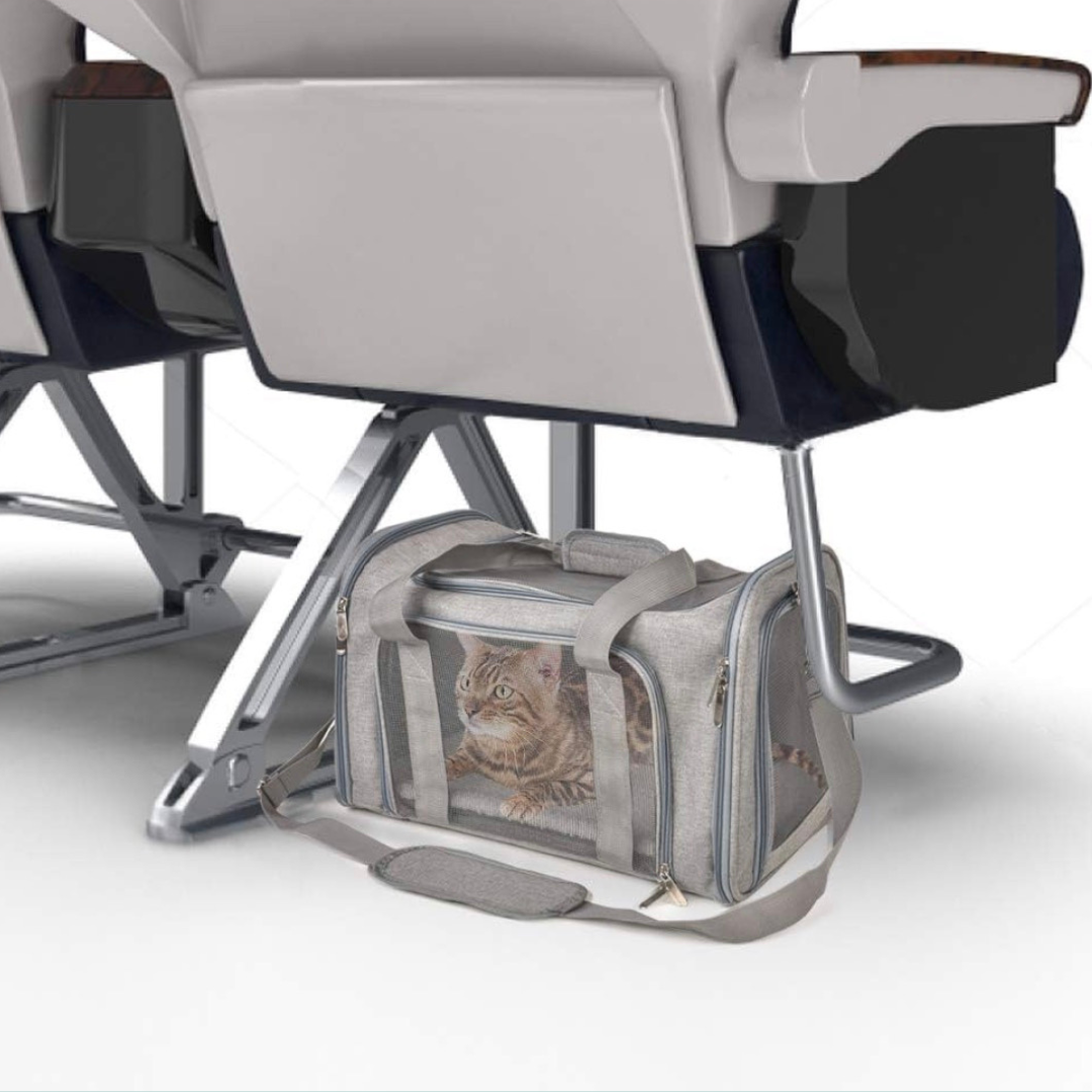 The carrier needed to both fit a bonded pair of rabbits while also fitting underneath the airplane seating.