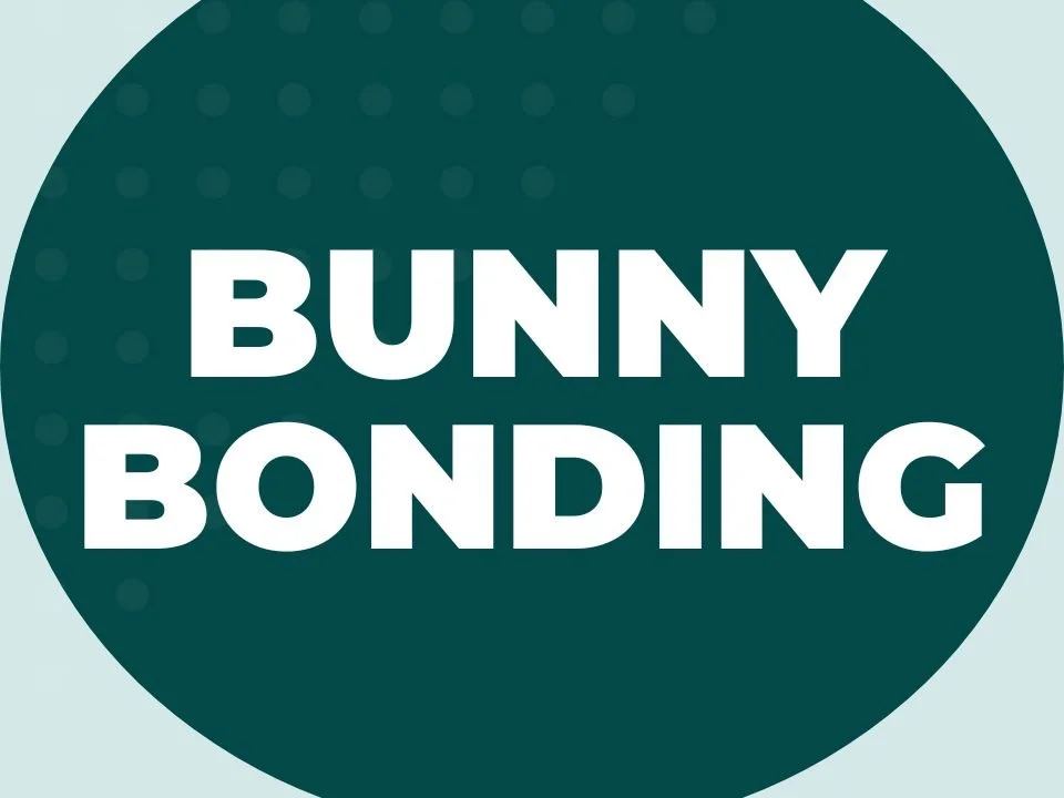 A Rabbit Bonding Resource Book