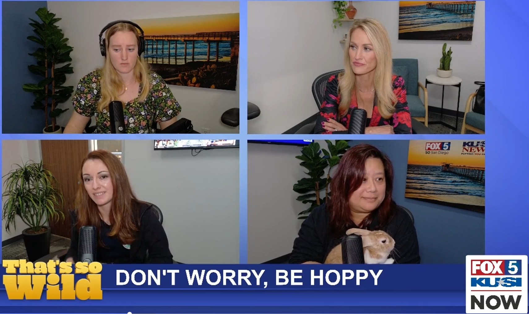 Don’t Worry, Be Hoppy, That’s So Wild| Fox 5 KUSI