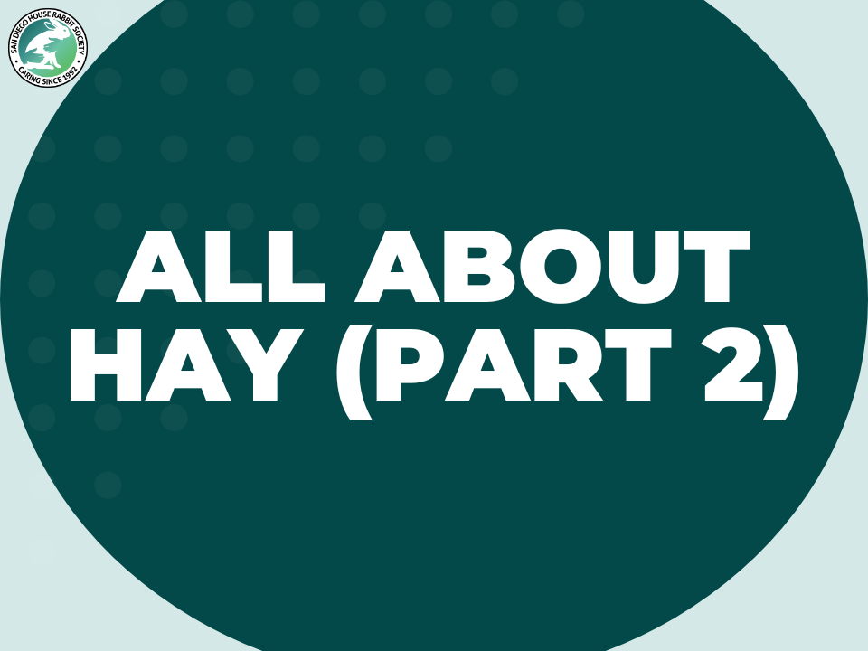 All About Hay (Part 2)