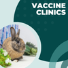 Vaccine Clinic — San Diego House Rabbit Society