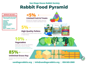 Providing a Healthy Rabbit Diet — San Diego House Rabbit Society