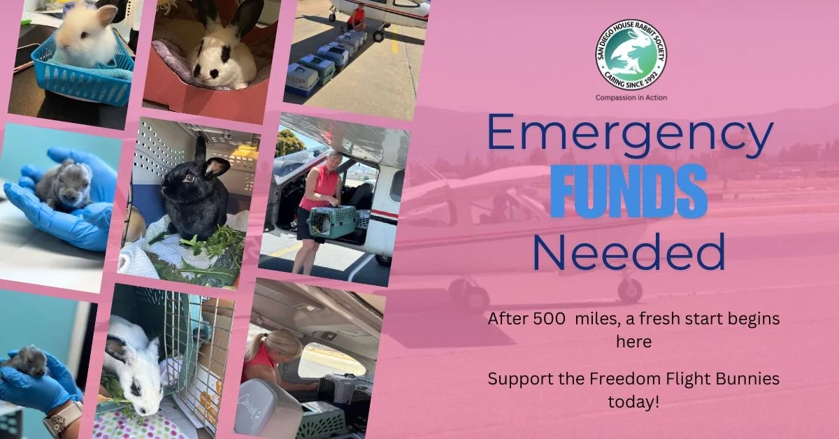 Emergency Fund - New.jpg