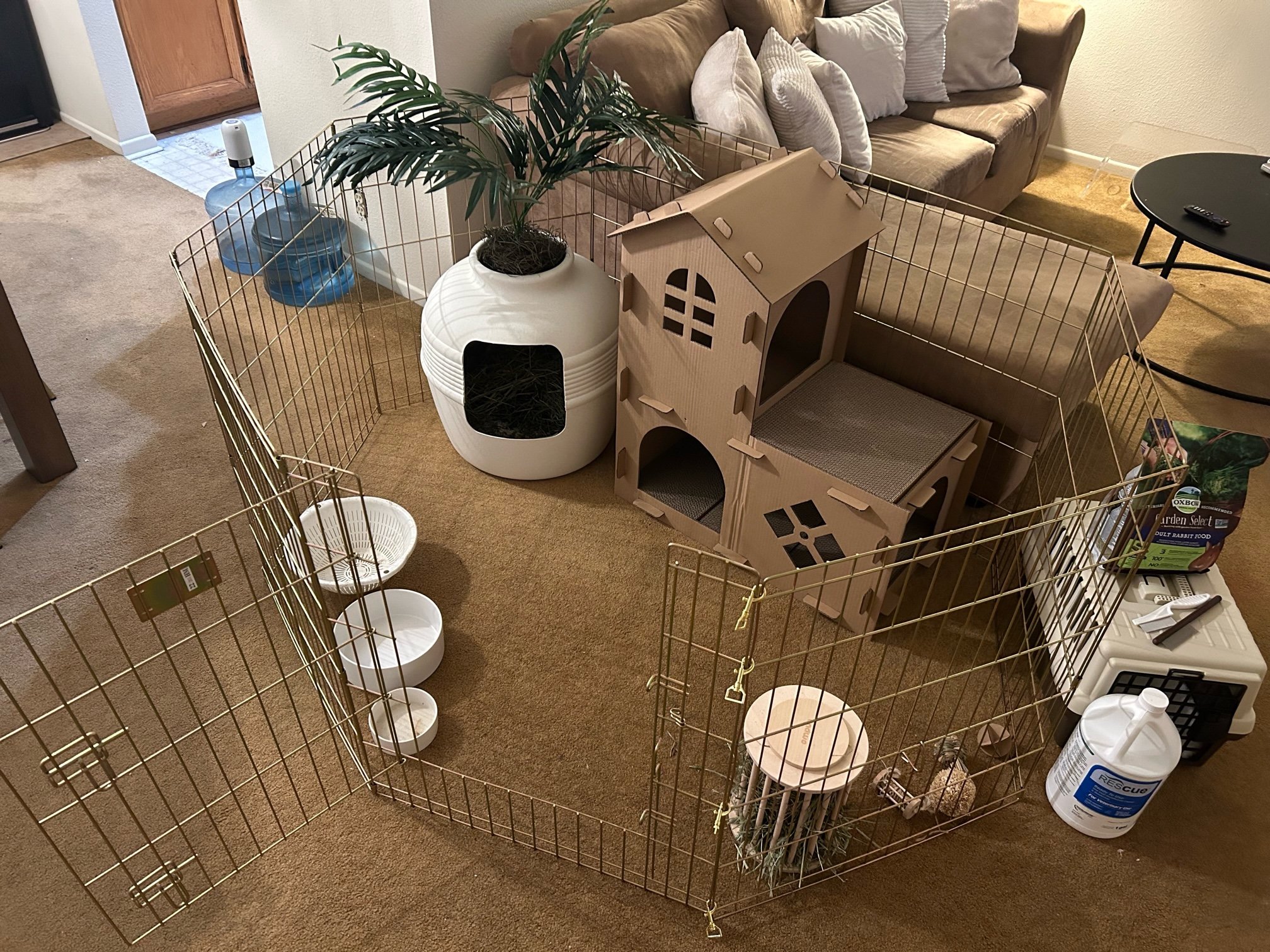 Advantages of Pen Living — San Diego House Rabbit Society