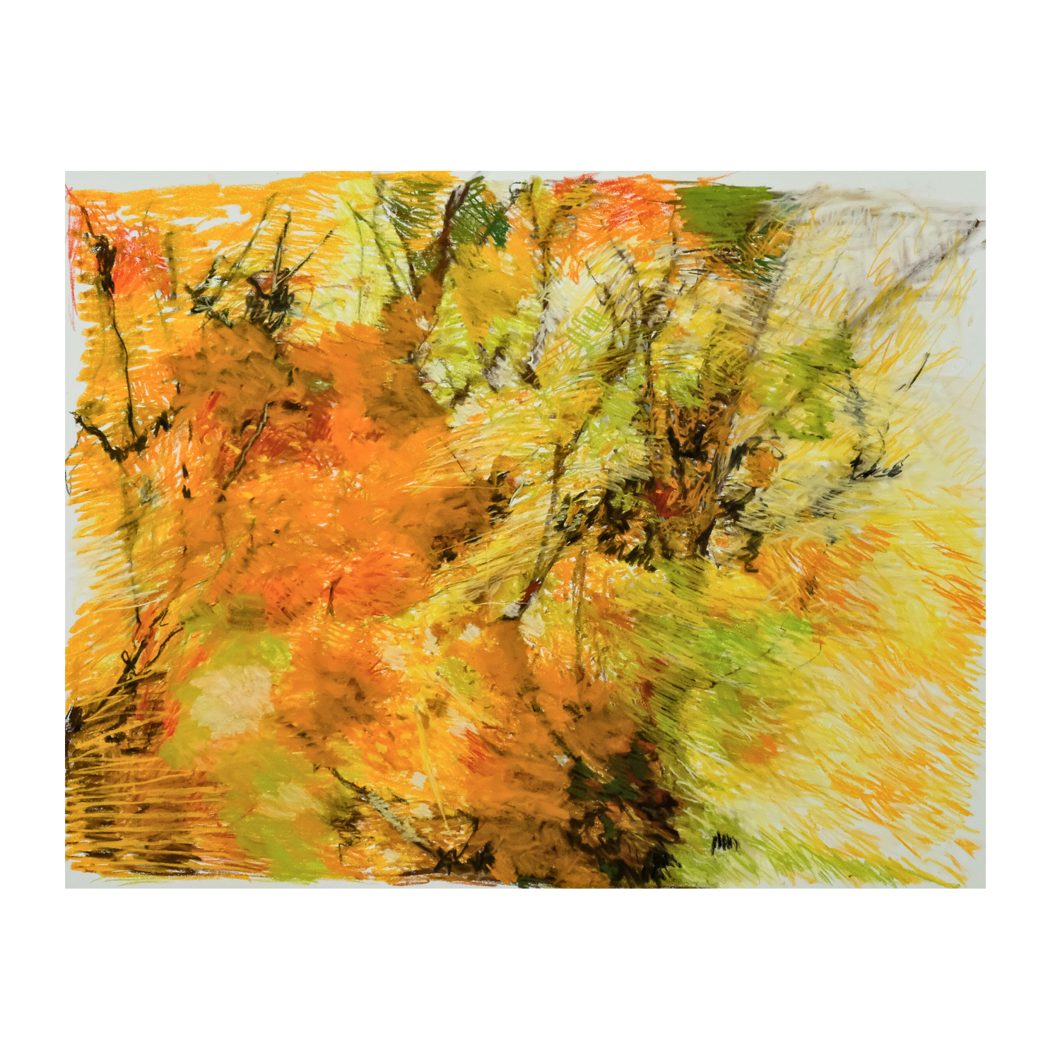 'The West Wind’ 2025 - soft pastels & charcoal on paper, 38 x 50” (unframed)