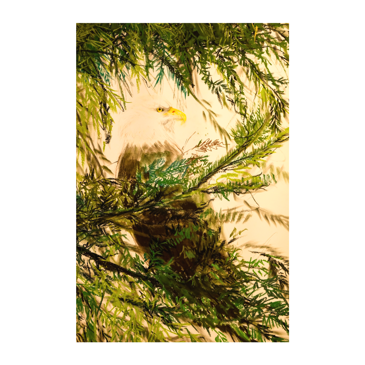 'Eagle lookout’ 2025 - soft pastels & charcoal on paper, 38 x 50” (unframed)