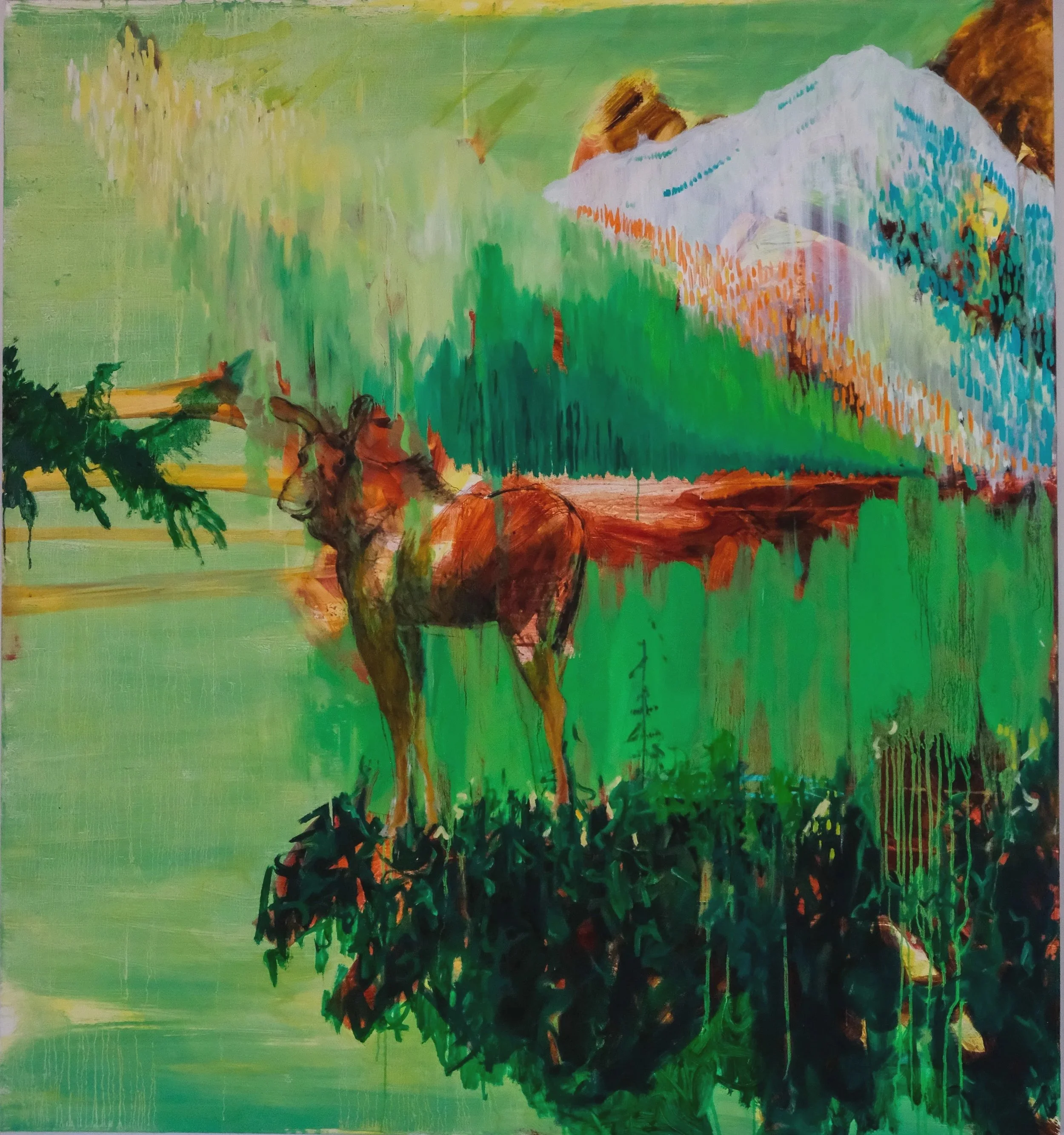 'Standing Moose’ 2026 Acrylic & Oil on Canvas 48 x 48"