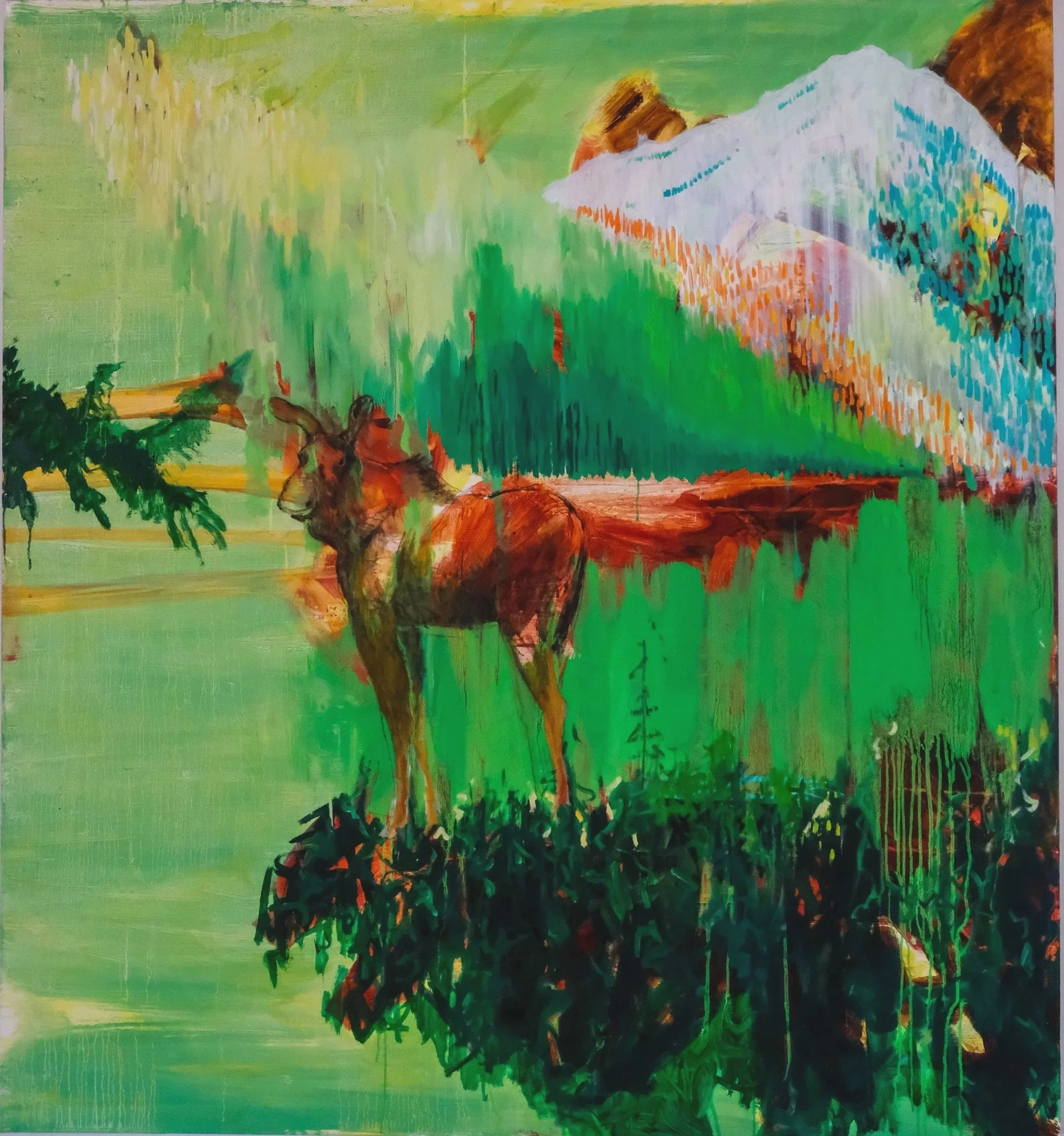 'Standing Moose’ 2026 Acrylic & Oil on Canvas 48 x 48"