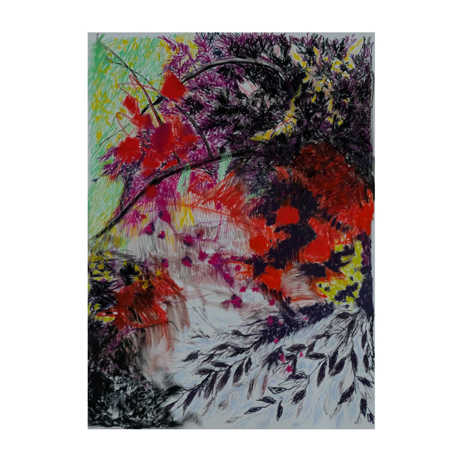 ‘Winter Lights’ 2025 - soft pastels & charcoal on paper, 38 x 50” (unframed)