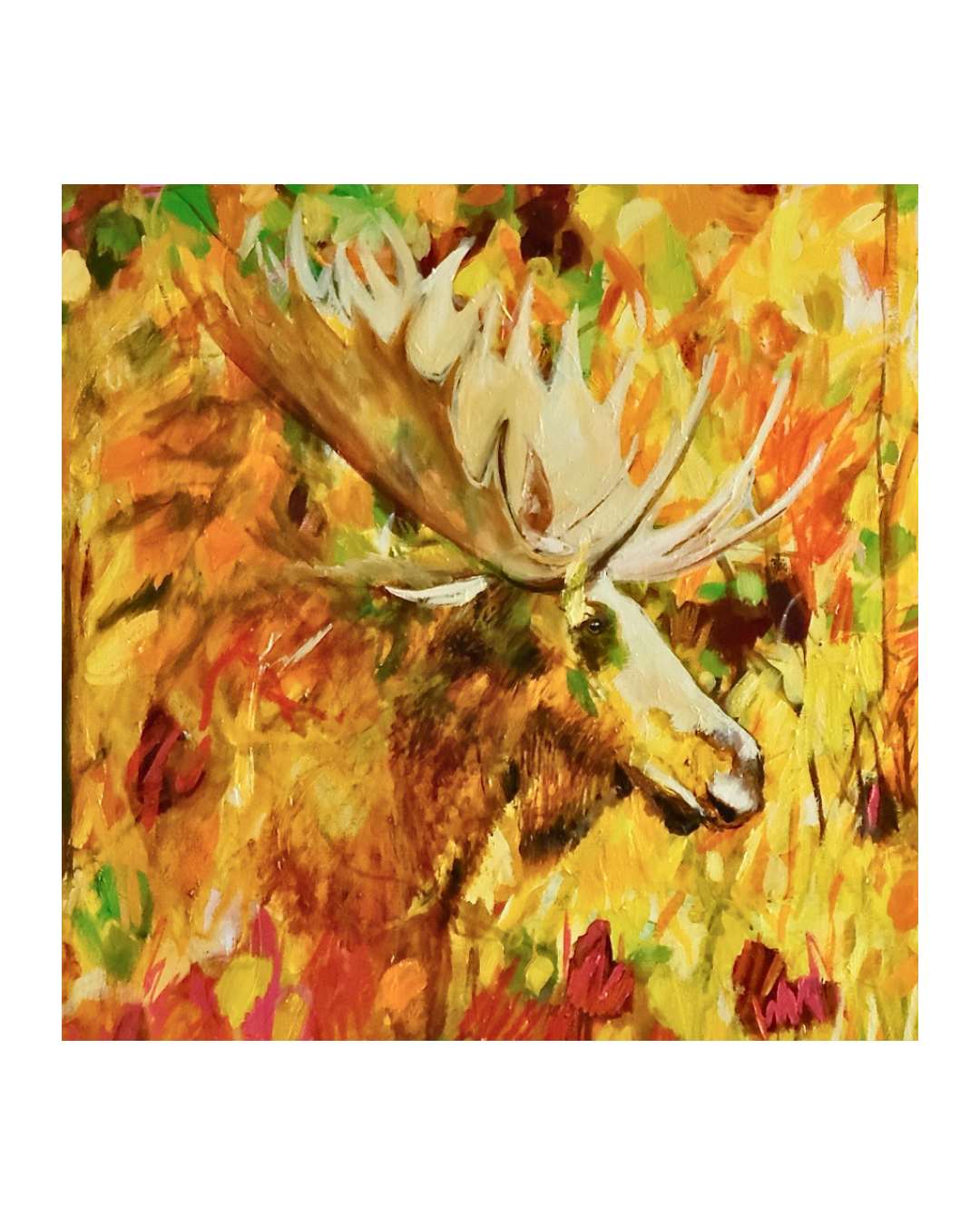 Autumn Moose ,
Oil on Canvas, 2026
122 x 122 cms, 48 x 48"
