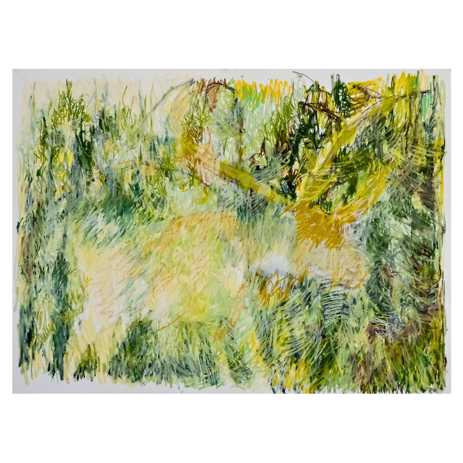 ‘Greenfinch’  2026 Soft Pastels on Paper, 53 x 38” 