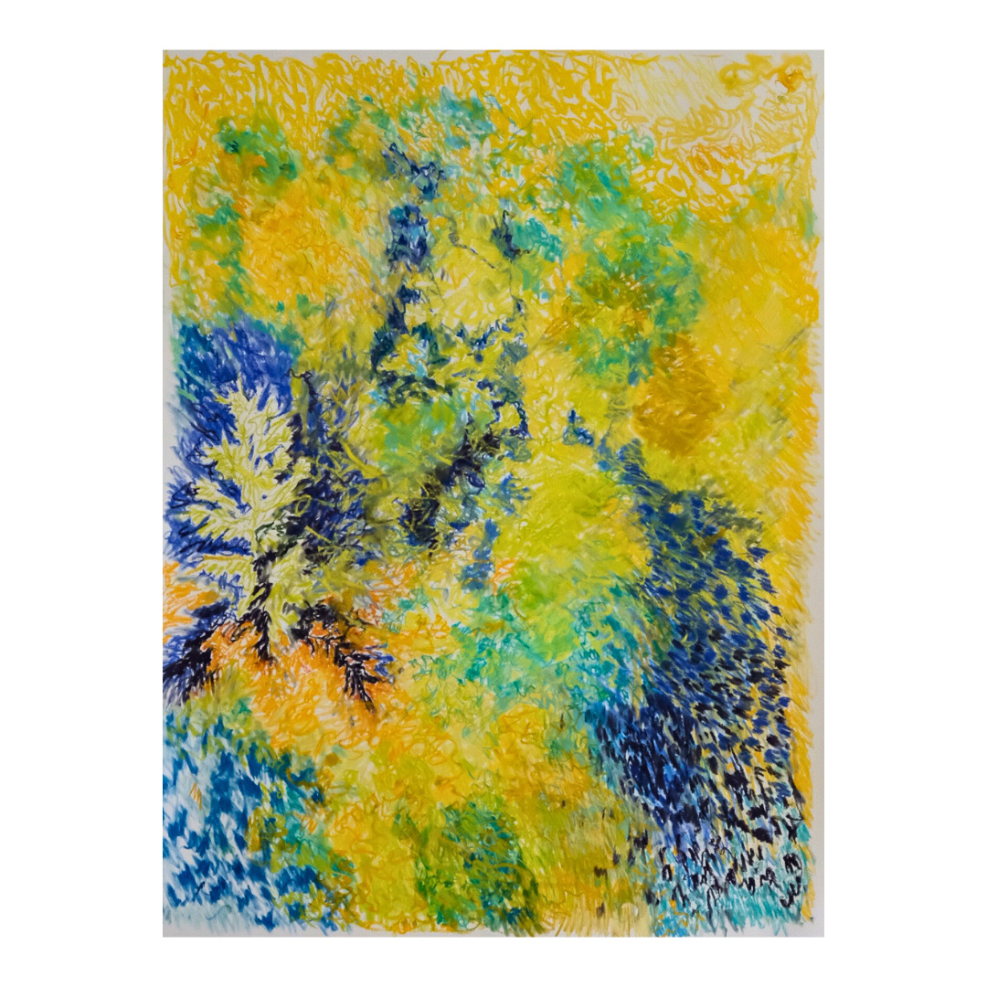 ‘Spring' 2026 - soft pastels & charcoal on paper, 38 x 50” (unframed)