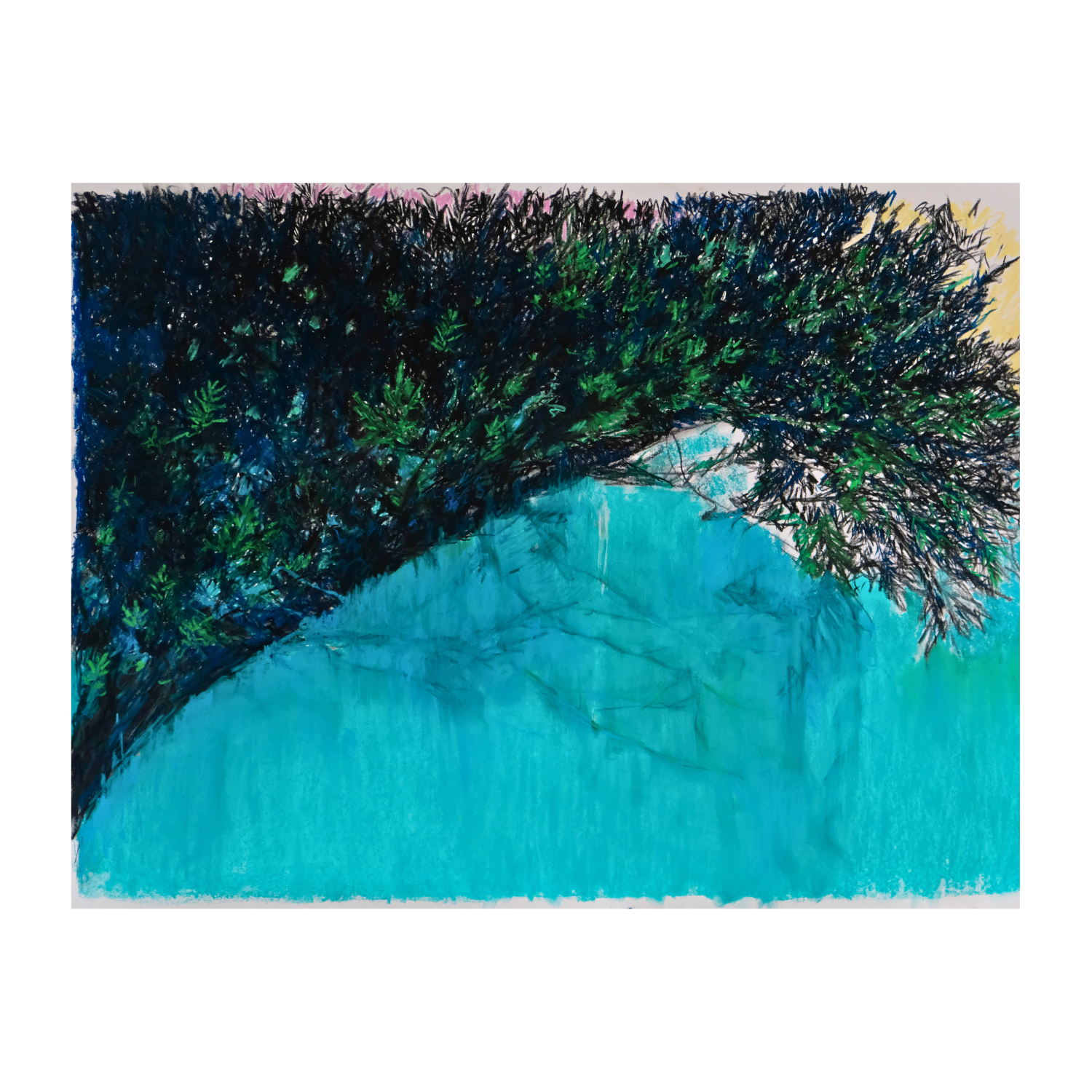 ‘Pristine Alpine’ 2025 - soft pastels & charcoal on paper, 38 x 50” (unframed)