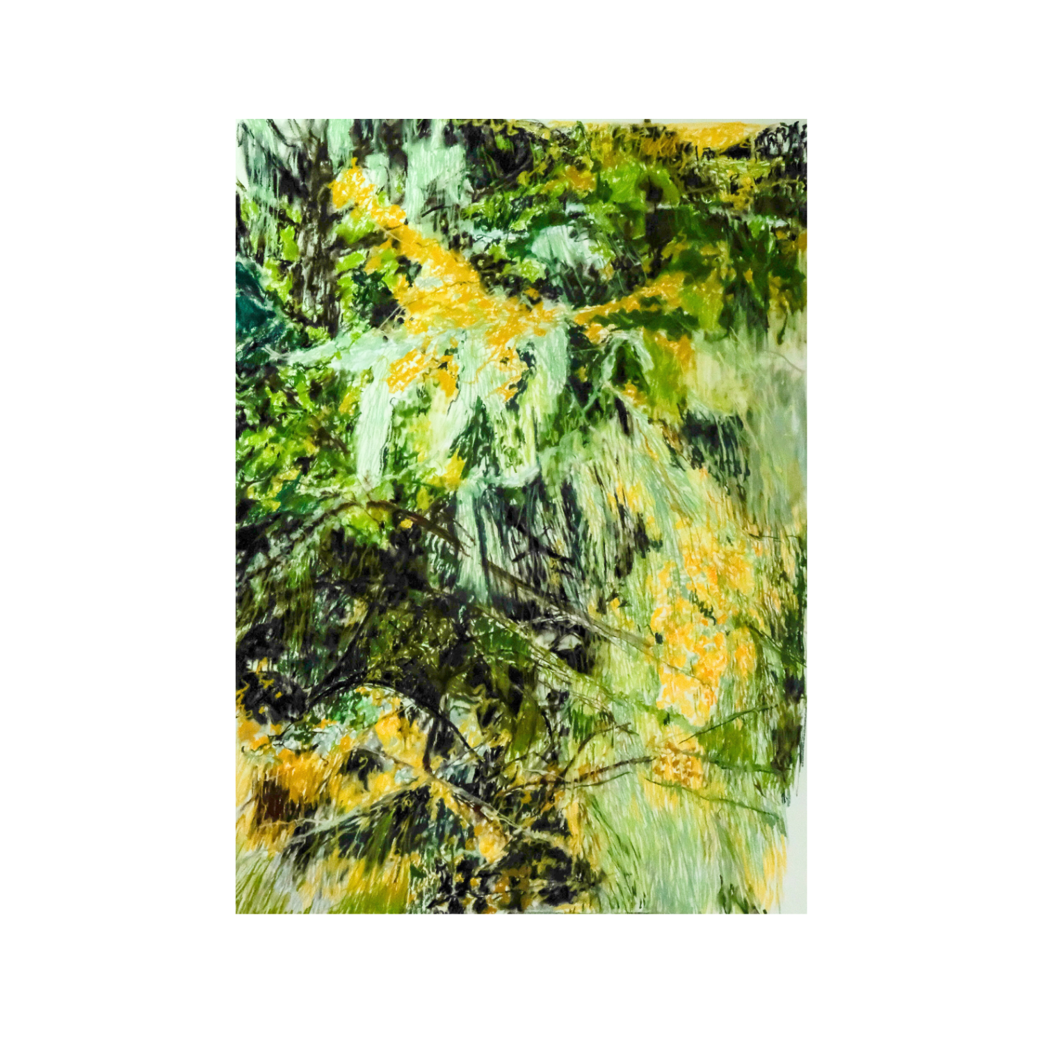  ‘Lichen’ 2025 - soft pastels & charcoal on paper, 38 x 50” (unframed)