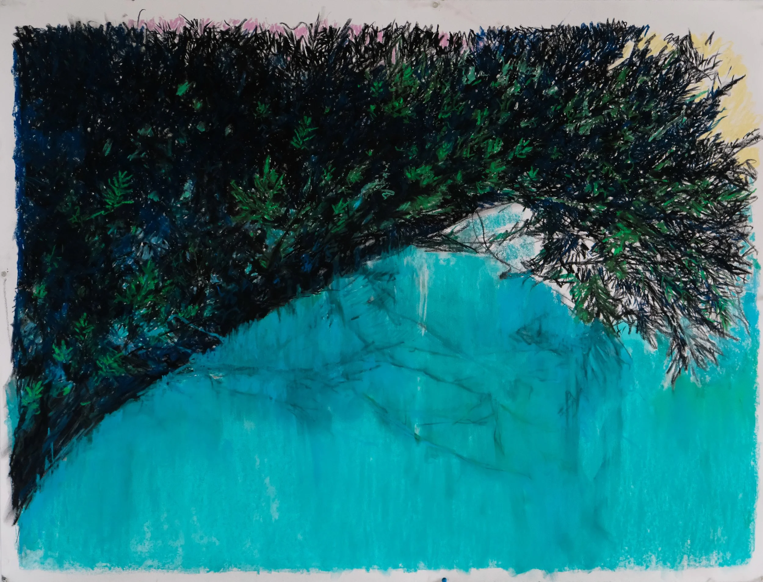 Alpach Cianaosta - Pristine Alpine, Nov. 2025, soft pastels & charcoal on paper, 38 x 50"