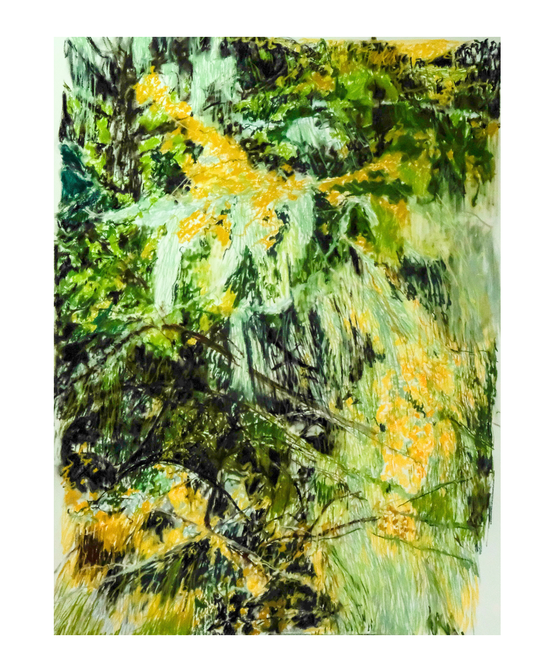 Léiceán  - Lichen, Oct. 2025, soft pastels & charcoal on paper, 38 x 50"
