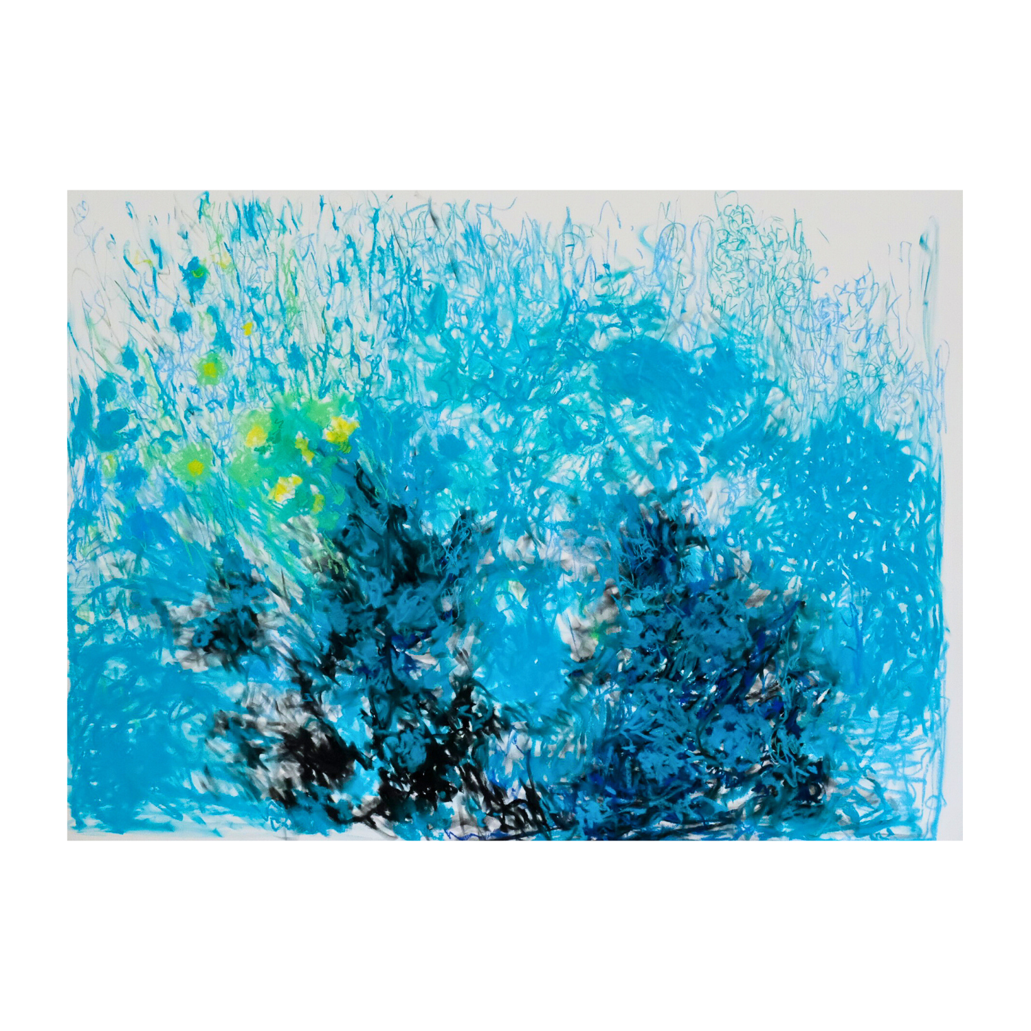 ‘Exuberance’ 2026 - soft pastels & charcoal on paper, 38 x 50” (unframed)