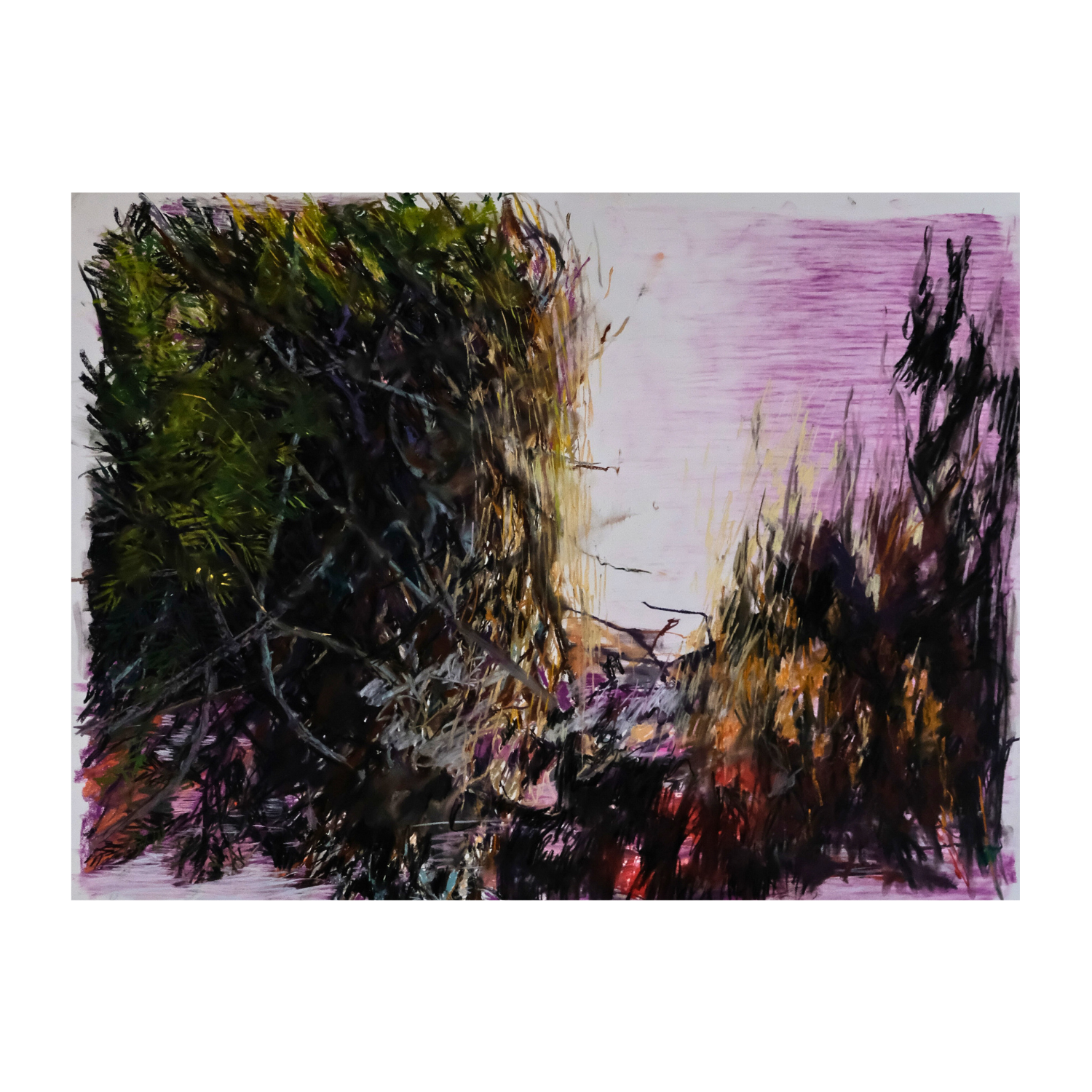 ‘The Space in between’ 2025 - soft pastels & charcoal on paper, 38 x 50” (unframed)