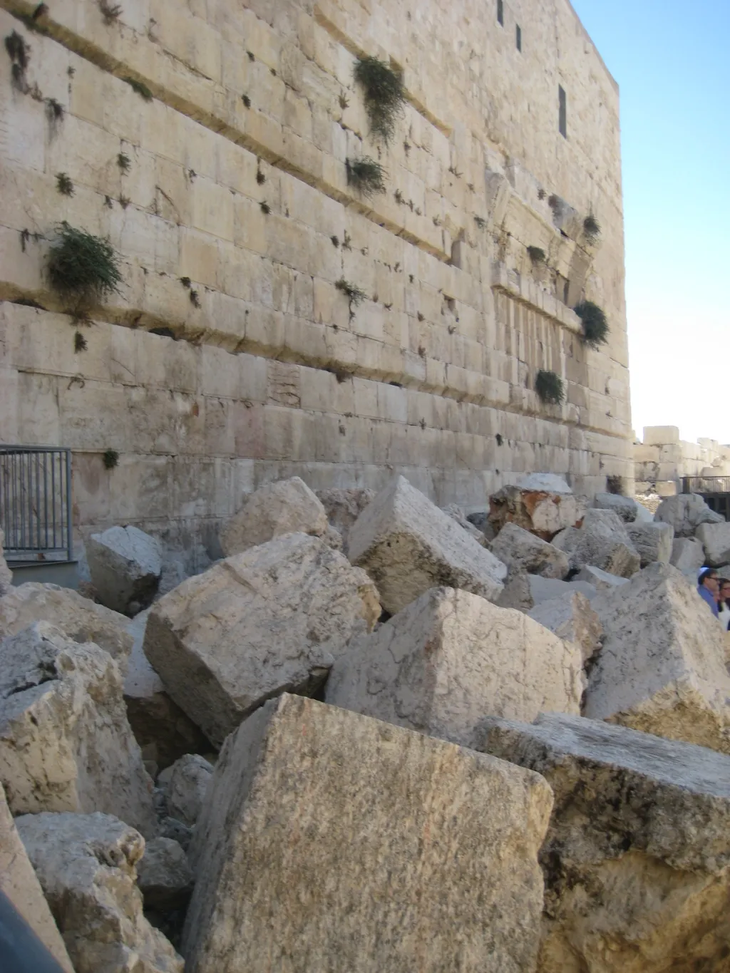 Twenty-third Sunday after Pentecost: November 16, 2025 | The Rev. Nat Johnson