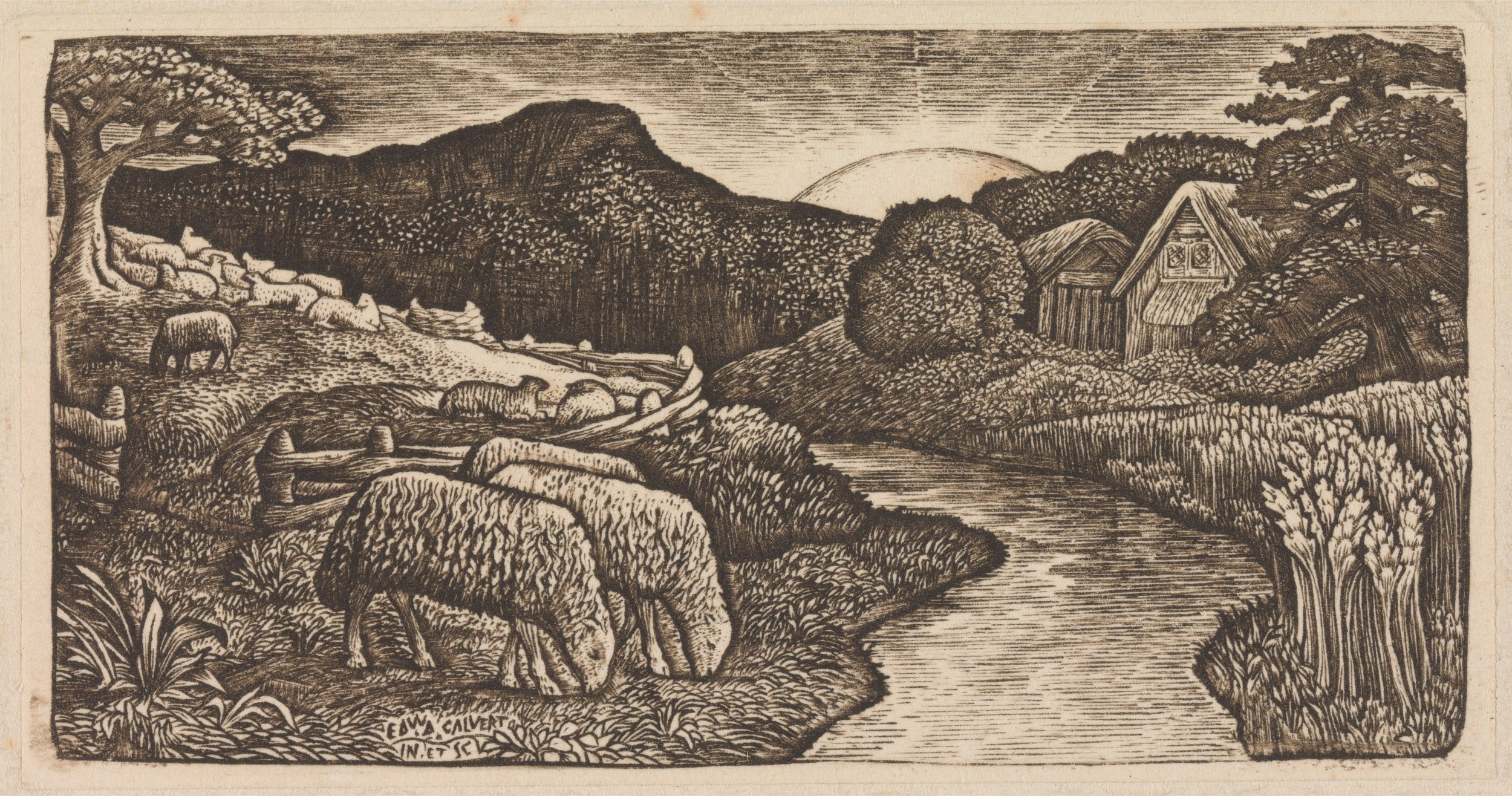 The Fourth Sunday of Easter | April 26th, 2026 | The Rev. Irene Tanabe