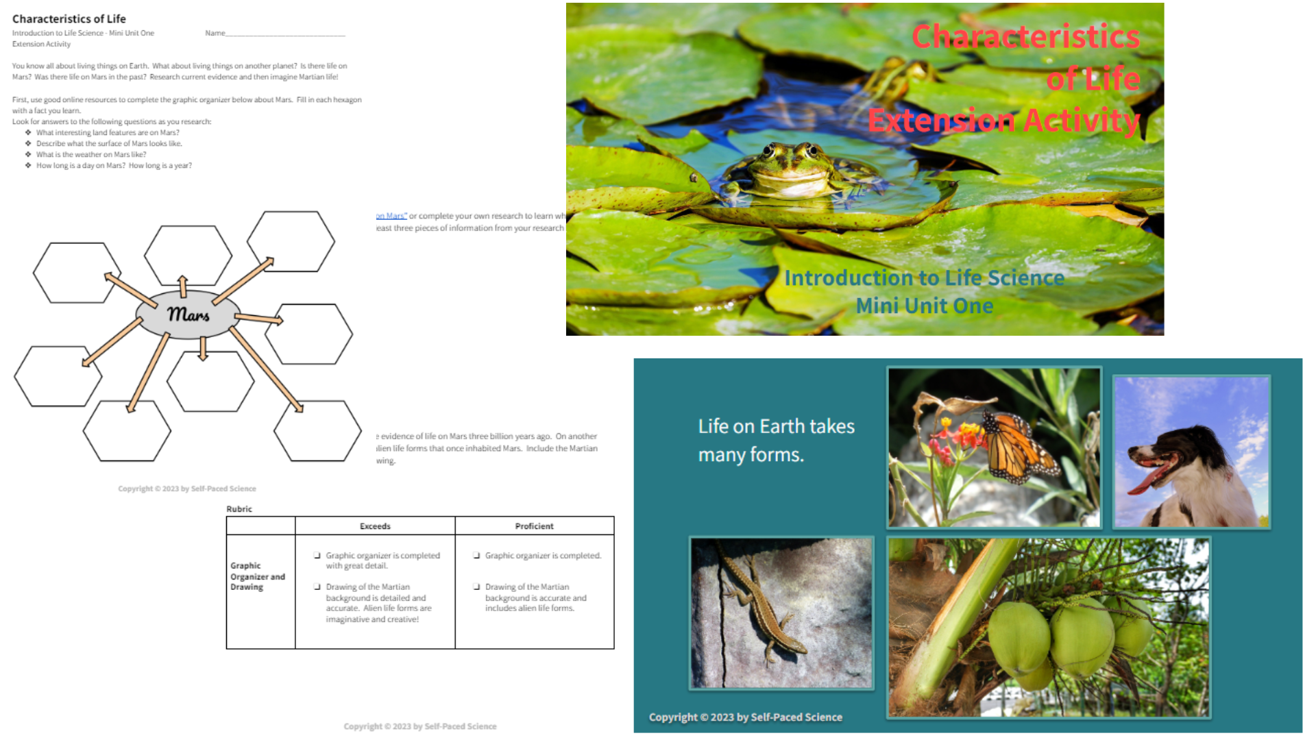 Middle School Science | Enhance Learning Today — Self-Paced Science