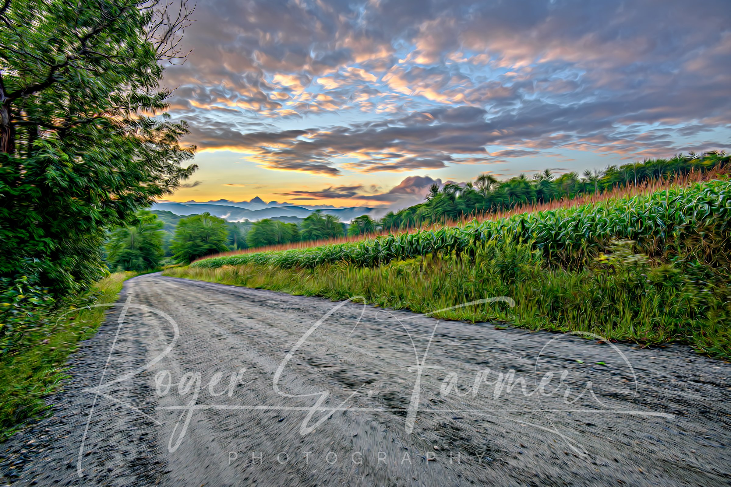Country Roads & Corn Fields
