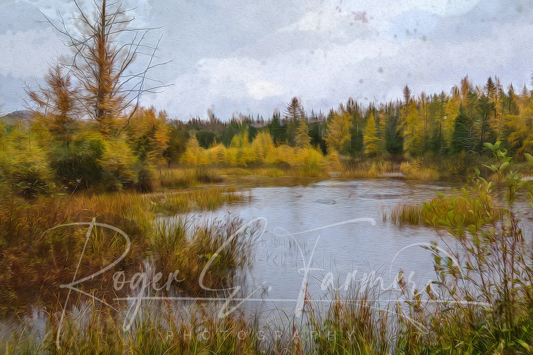 Tamarack Gold - Mixed Media Digital Art