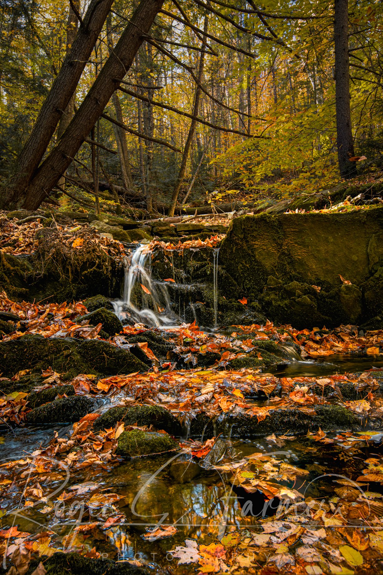 FallWaterfall-Watermark.jpg