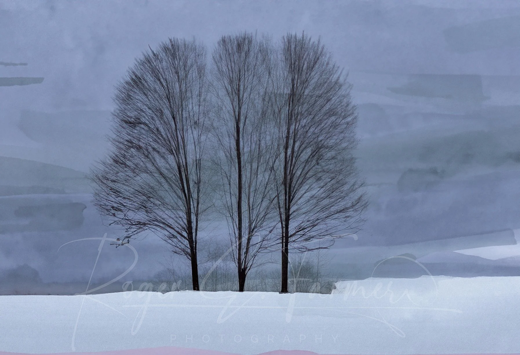 Maples_6x24 Watermark.jpg