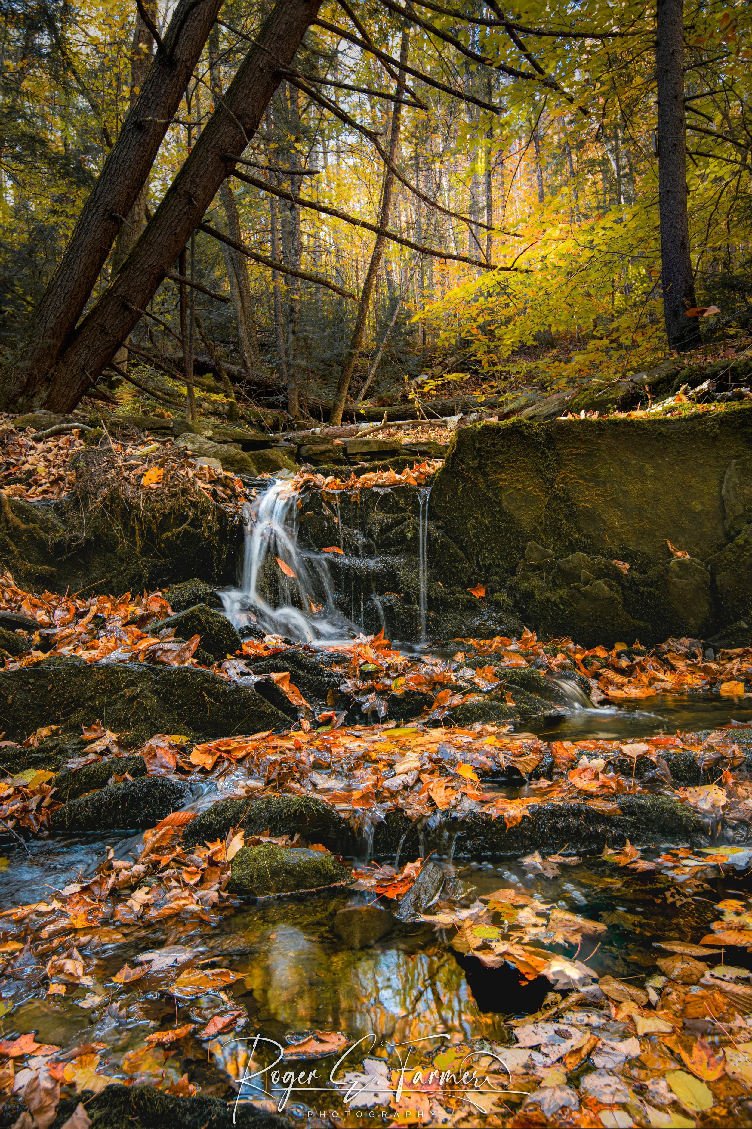 Falls.jpg