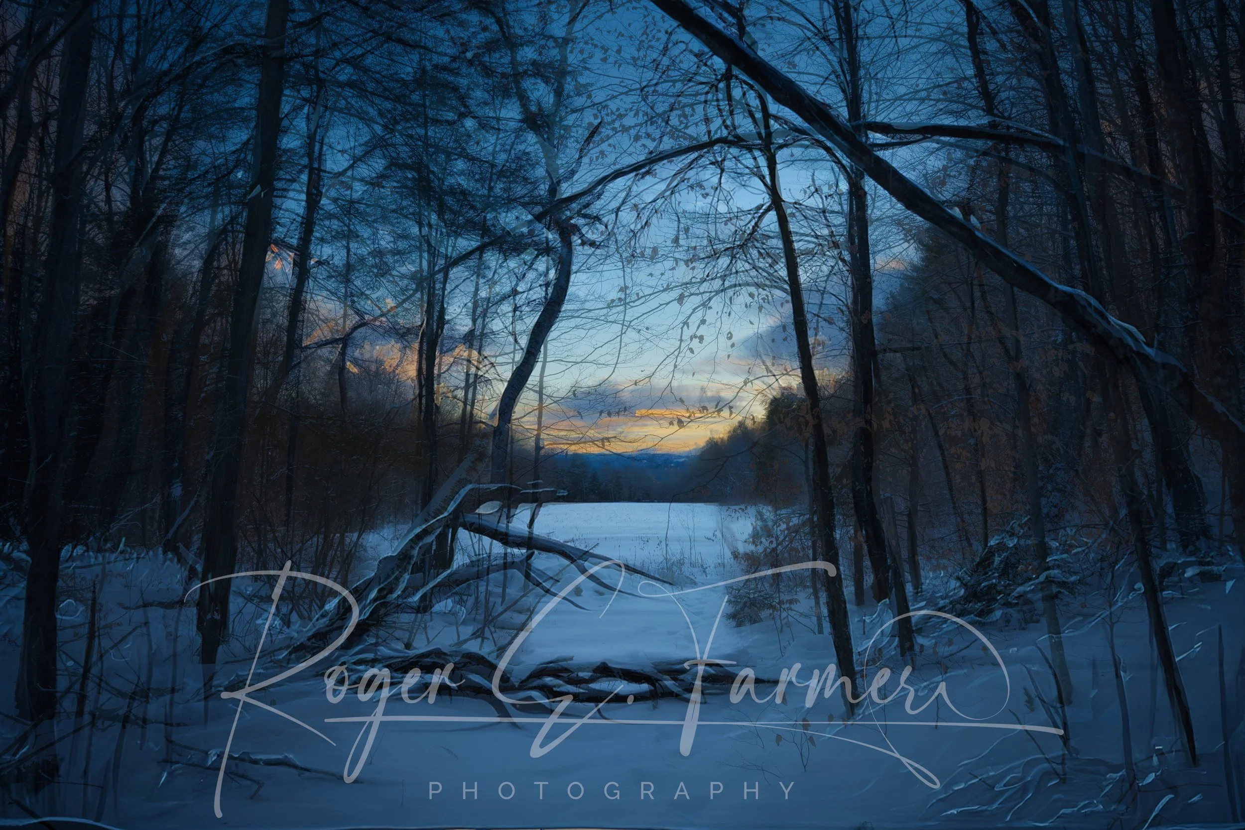 Sleeping Forest Watermark.jpg