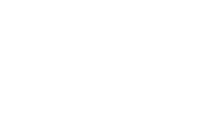 LBR Collective