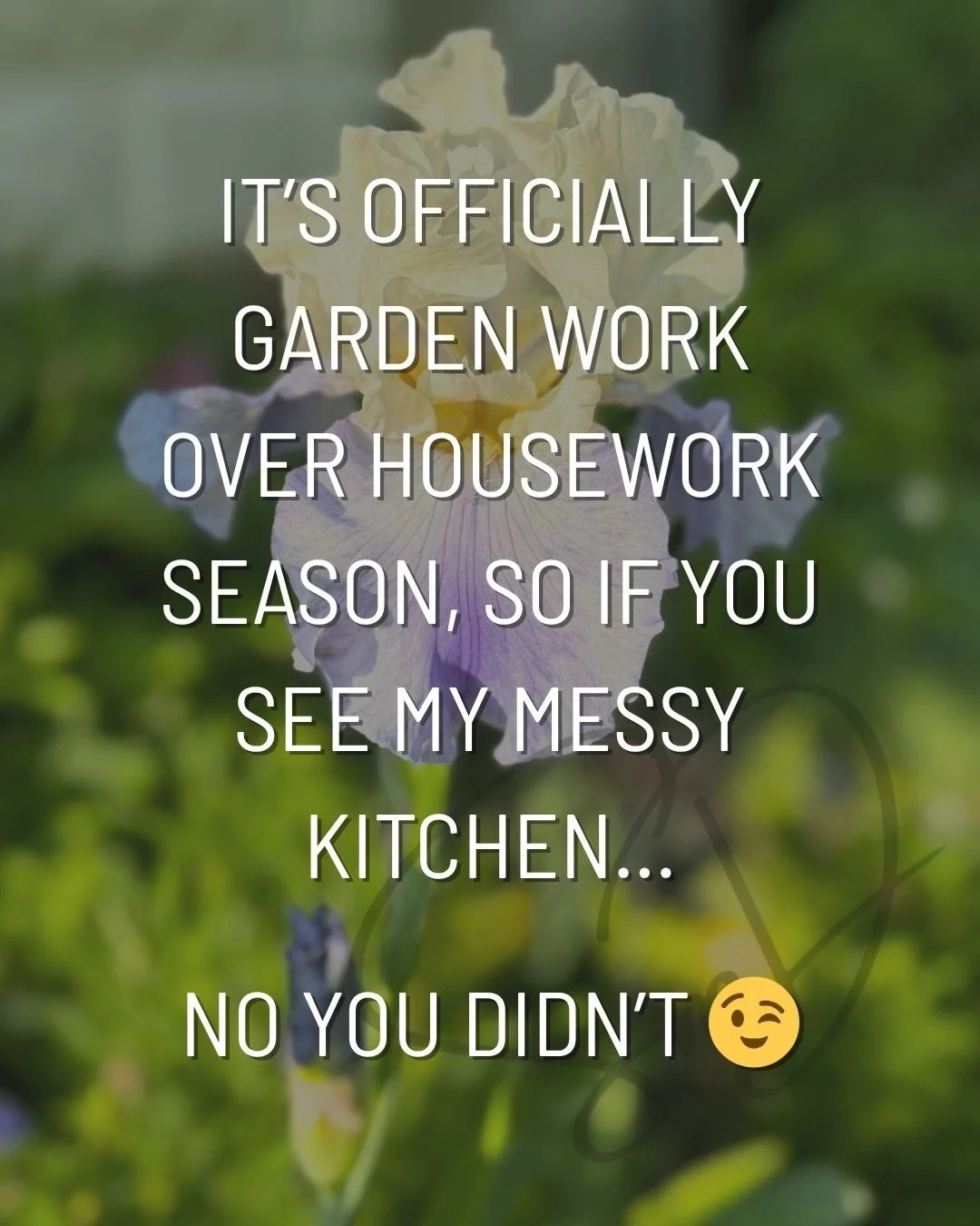 Tis the season where my love of flowers and gardening will start to war with the desire to make art 😬. I spent the entire weekend cleaning up the garden beds getting them ready for  the summer. Lots of perennials showing new growth already so that&r