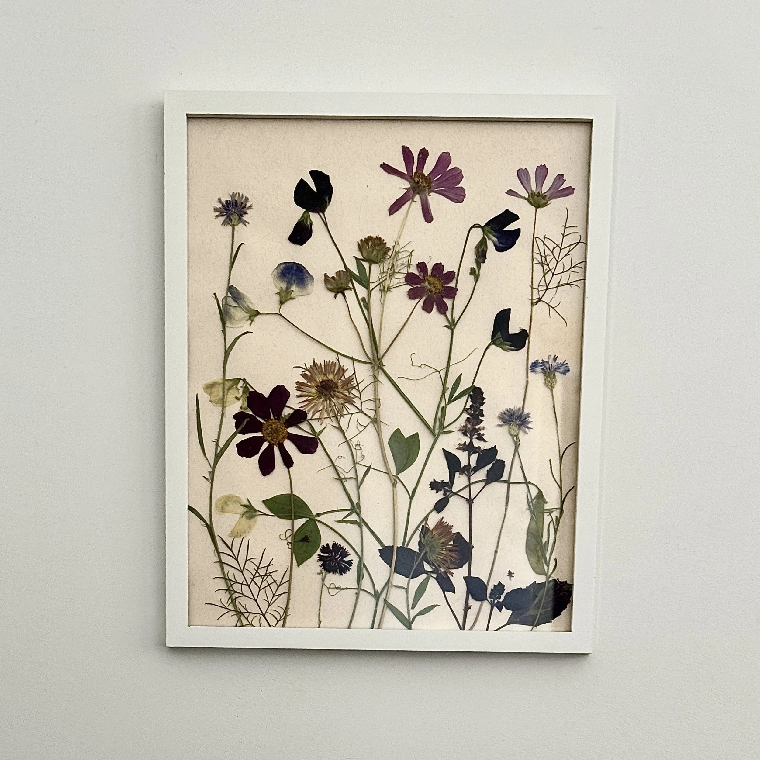 Pressed Flower Collage-11”x14”