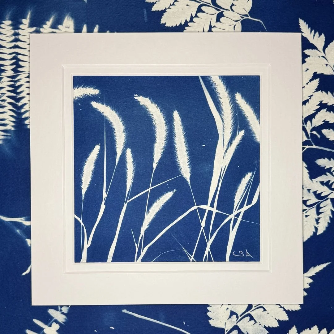 Wild Grass-Cyanotype Art