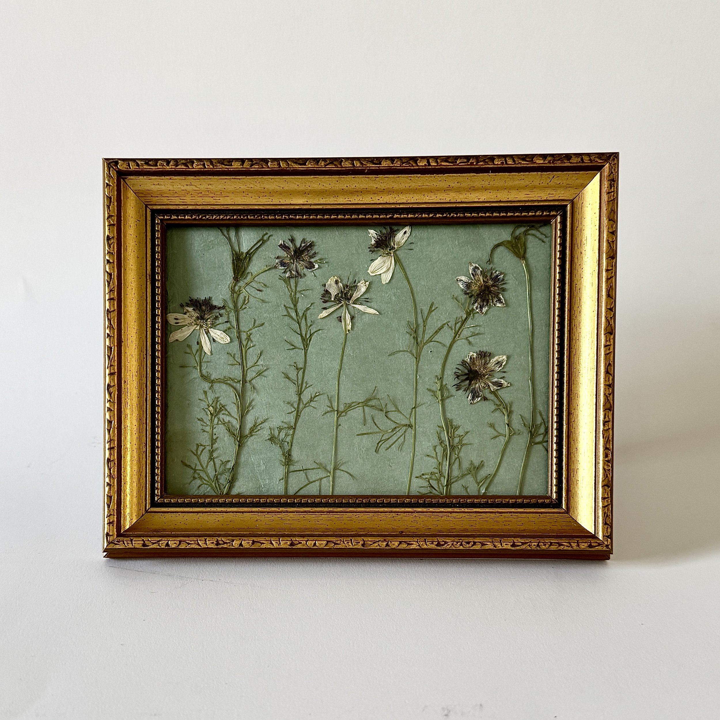 Pressed Flower Nigella - 5" x 7"