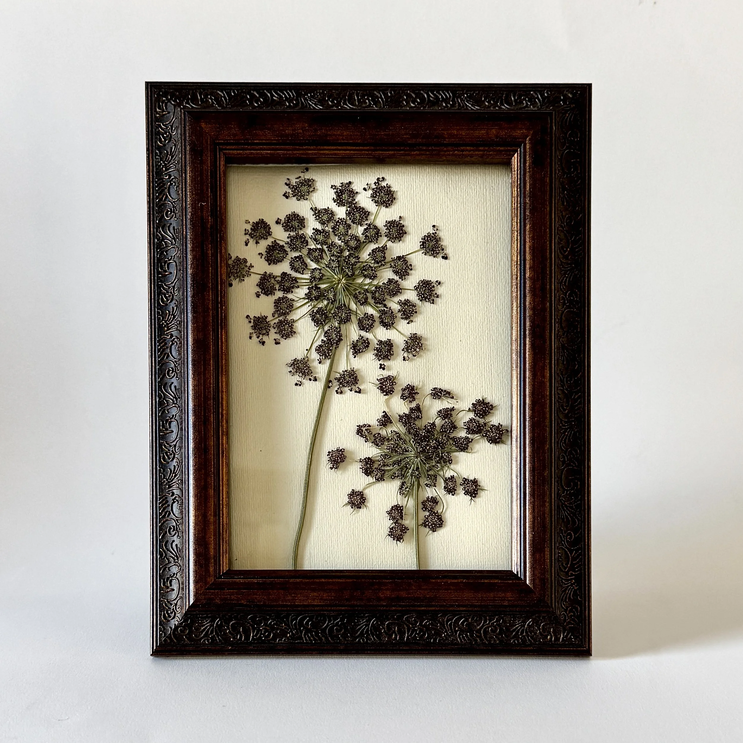 Pressed Flower Chocolate Lace Flower- 5x7"