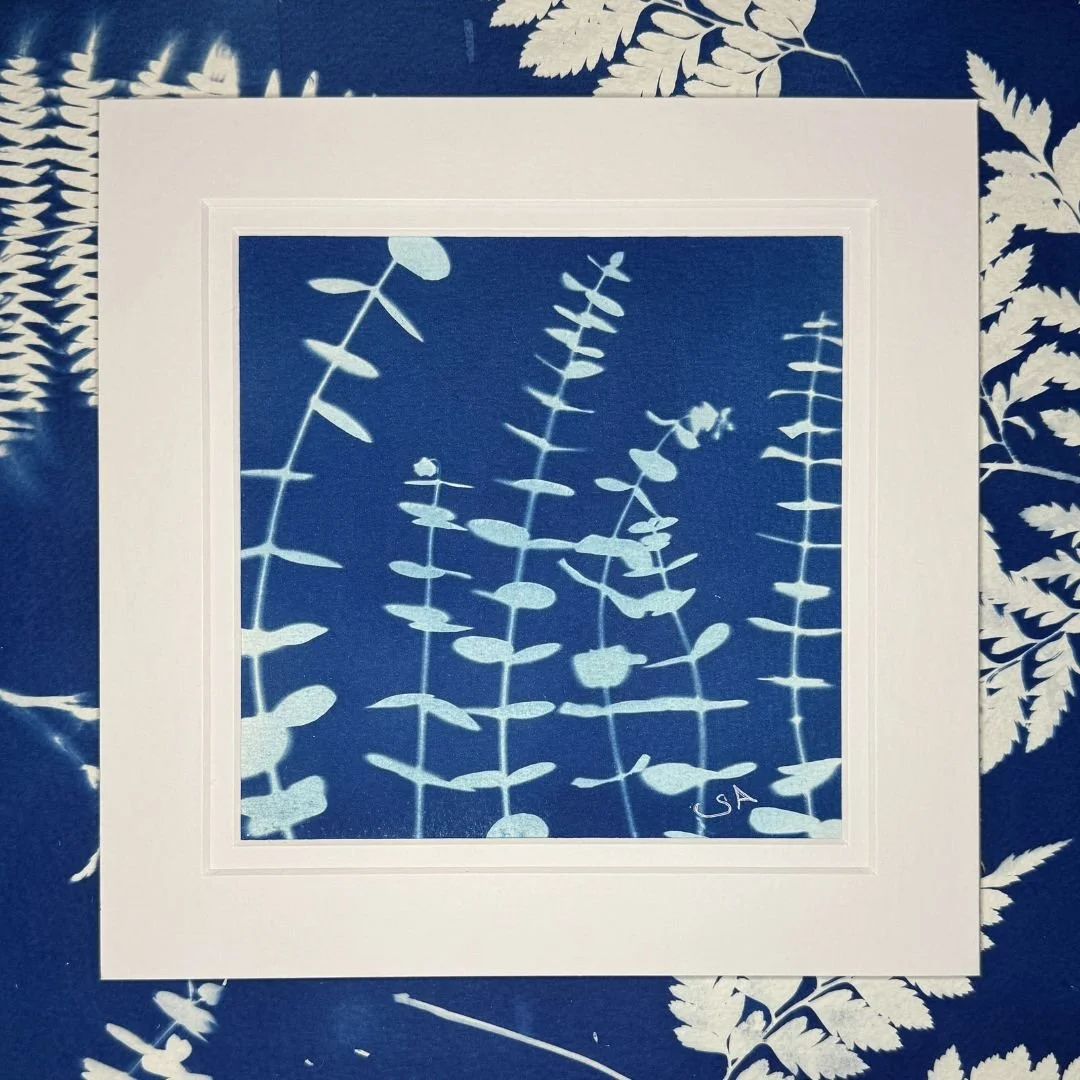 Eucalyptus- Cyanotype Art