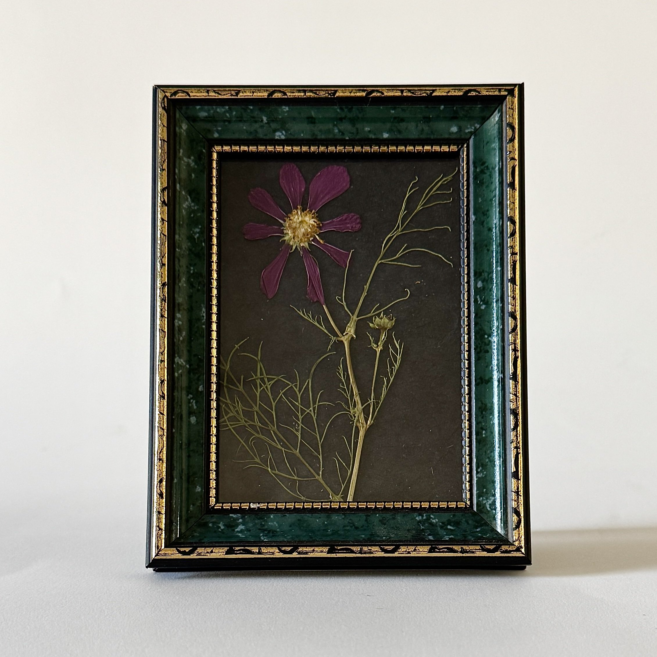 Pressed Flower - Cosmo- 3"x4.5"