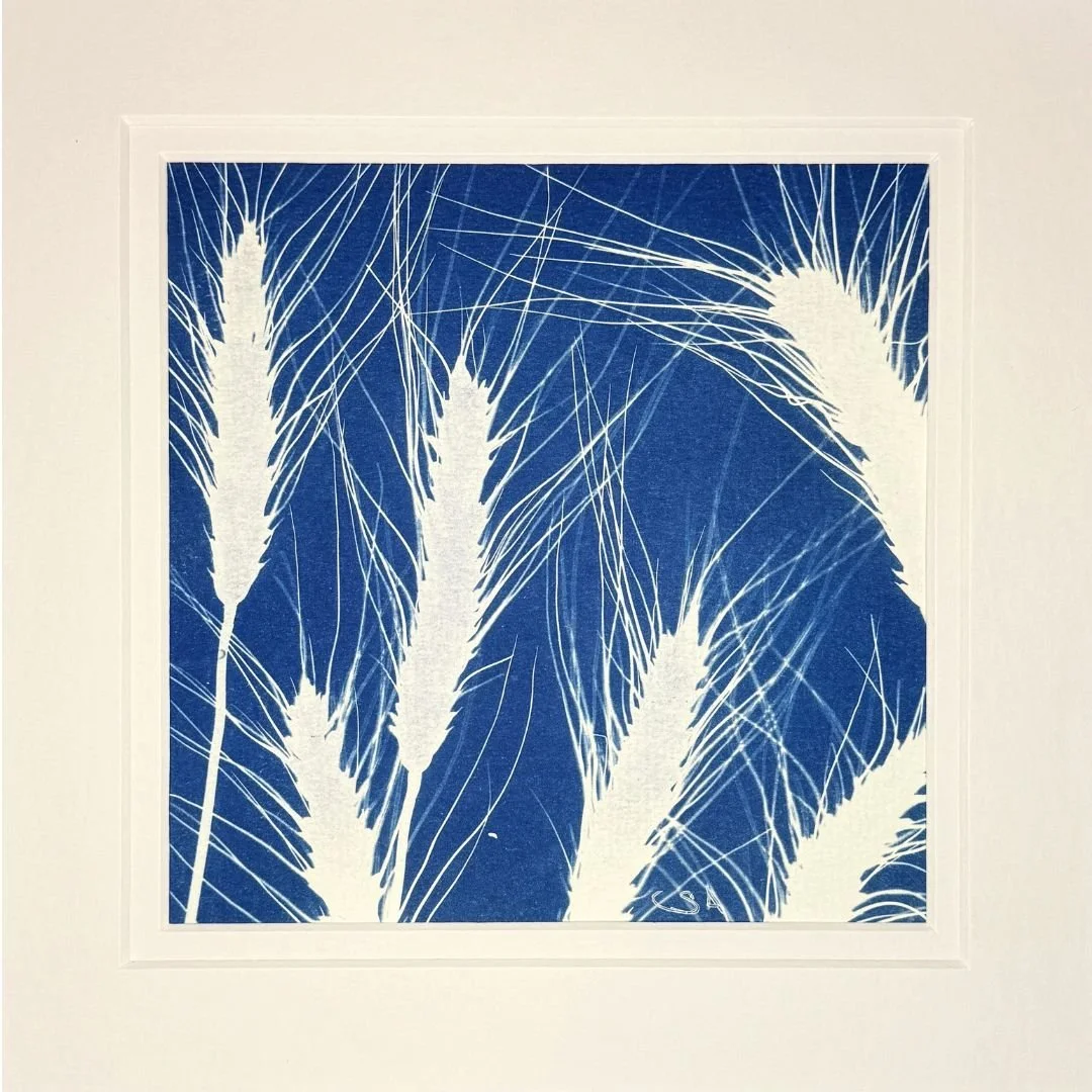 Wheat - Cyanotype Art