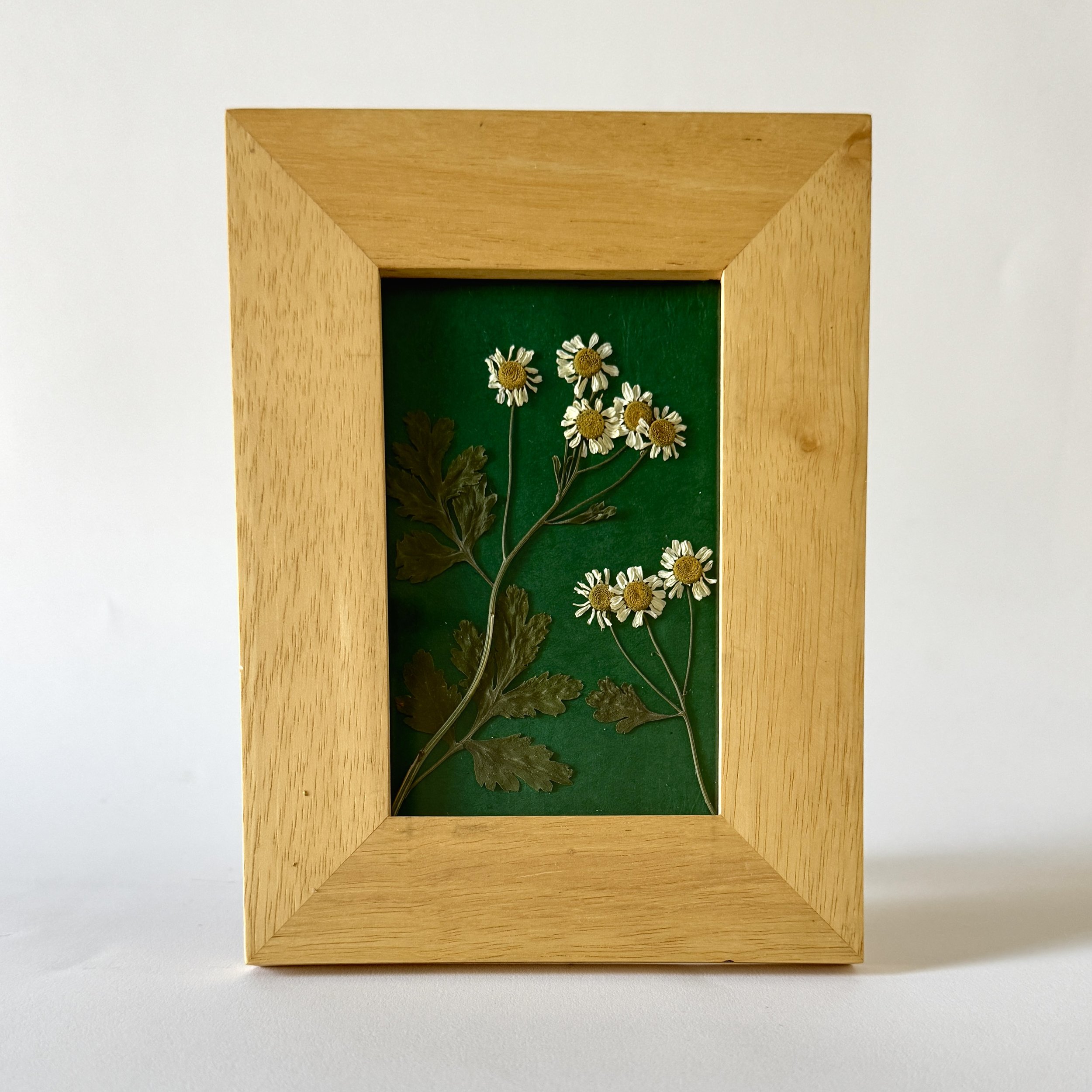 Pressed Flower Fever Few - 3.5" x 5.5" (Copy)