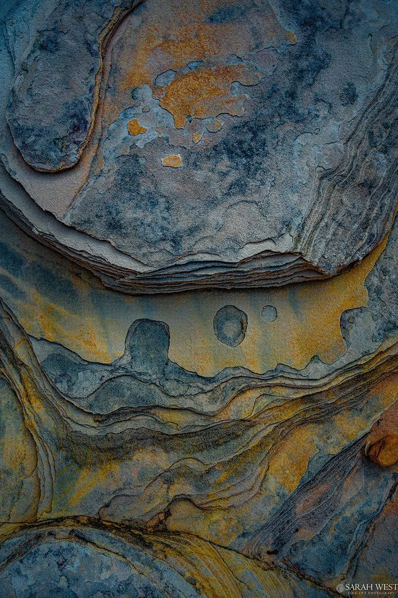 com-abstract12-sarah-west.jpg