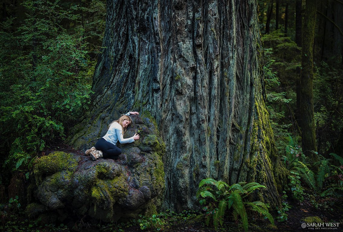com-sequoiaandsequoia-sarah-west-fine-art.jpg