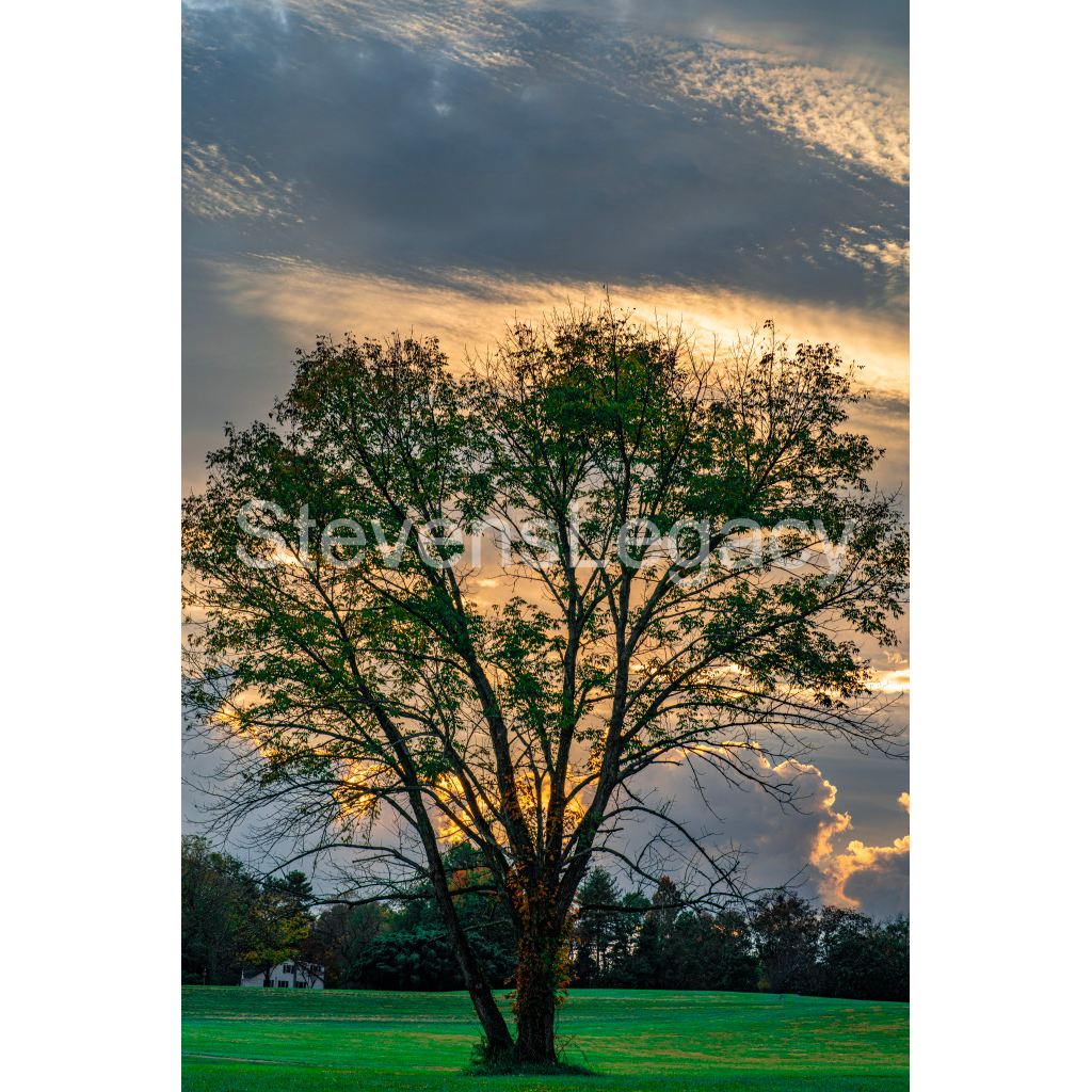 image_original_065f413118672e14d0f9d7e25525d850.png