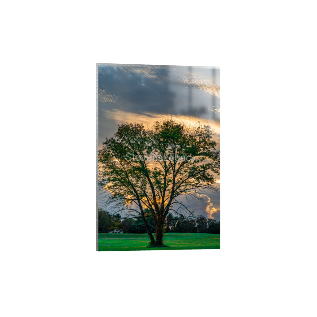 ptq_13_3_0_0_6336_9504_0_false_ffffff_0_0_065f413118672e14d0f9d7e25525d850.png