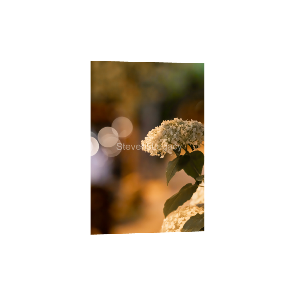 ptq_1_3_274_0_2745_4118_0_false_ffffff_0_0_065f413118672e14d0f9d7e25525d850.png