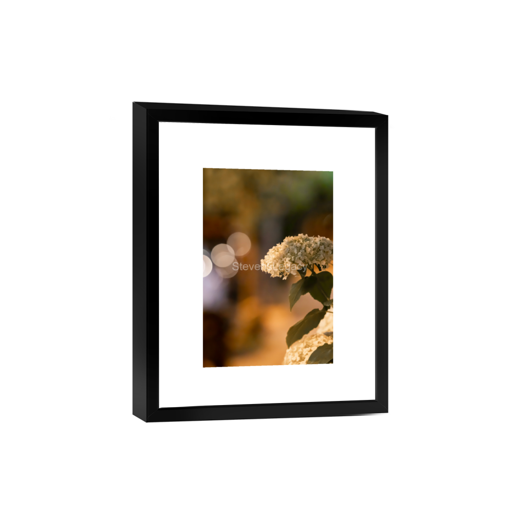 ptq_45_3_274_0_2745_4118_0_false_ffffff_0_0_065f413118672e14d0f9d7e25525d850.png