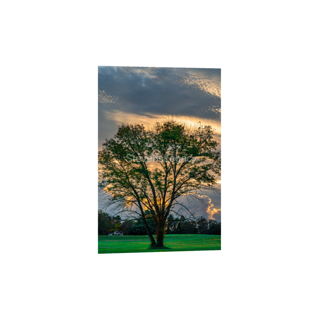 ptq_1_3_0_0_6336_9504_0_false_ffffff_0_0_065f413118672e14d0f9d7e25525d850.png
