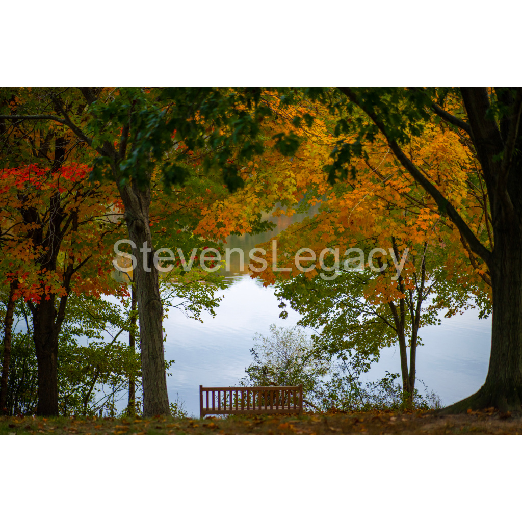 image_original_065f413118672e14d0f9d7e25525d850.png
